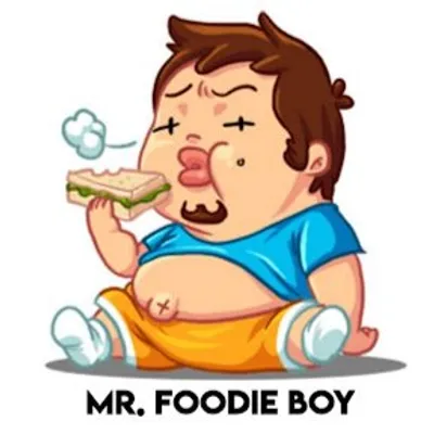 MR FOODIE BOYZ profile