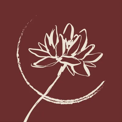 Mrinal Khatnani & CO profile