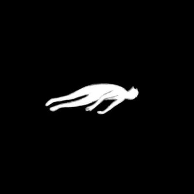 Jon Hopkins profile