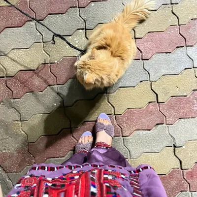 ایمان فاروق💍🫀 profile