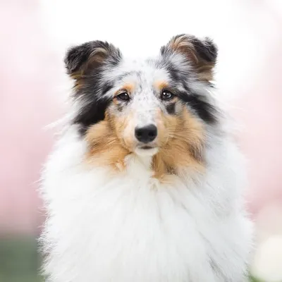Ronja & Emmy profile