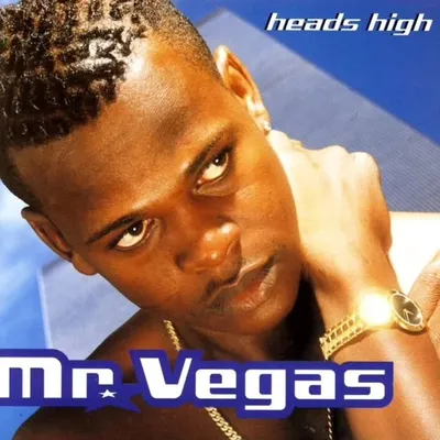 Mr. Vegas profile