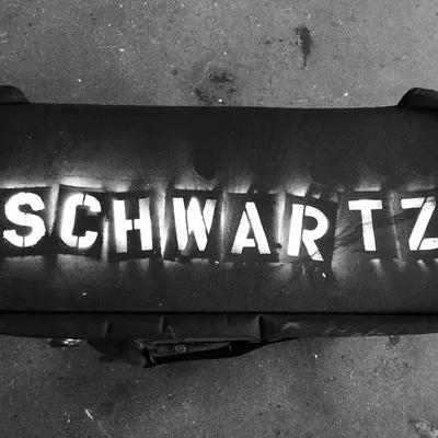 Michael Schwartz profile