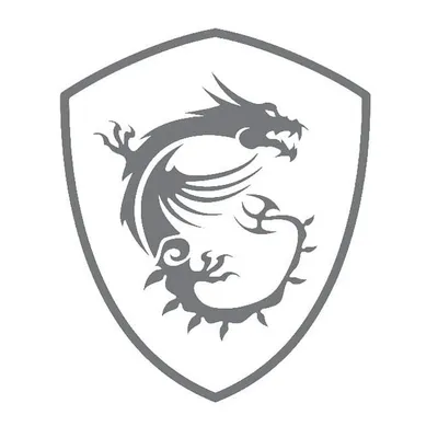 MSI France profile