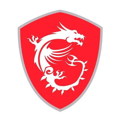 MSI GAMING ANZ profile