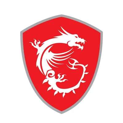 MSI Gaming Italy profile