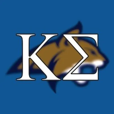 Kappa Sigma - Delta Lambda profile