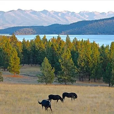 MTBigSkySeries profile