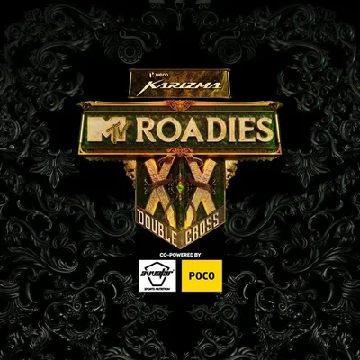 MTV Roadies profile