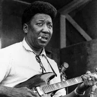 Muddy Waters profile