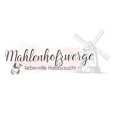 🐰Liebevolle Kaninchenzucht🐰 profile
