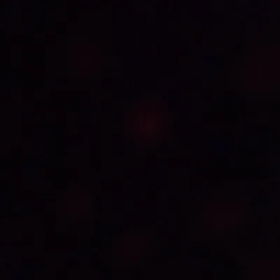 null profile