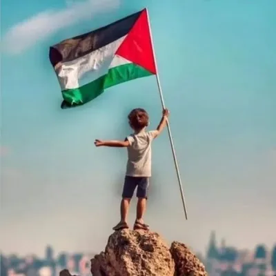 محمد زبير أودين profile