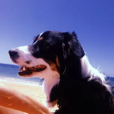 Mukua profile