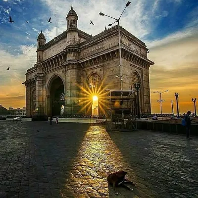 mumbai_ki_streets profile