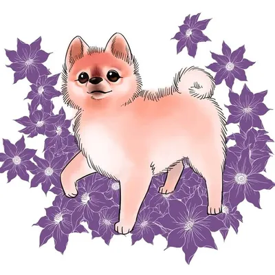 村瀬みつき profile