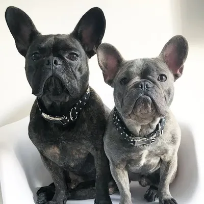 M U R P H Y & G R E Y S O N profile