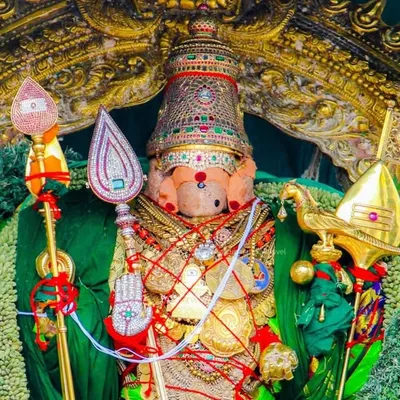 முருகா சரணம்🙏🙏 profile