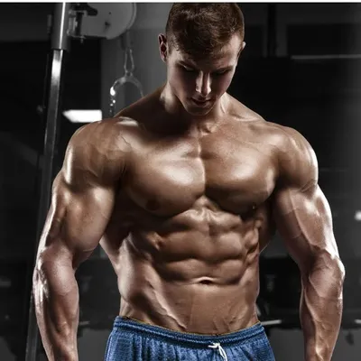 Muscle & Strength ๐ช profile