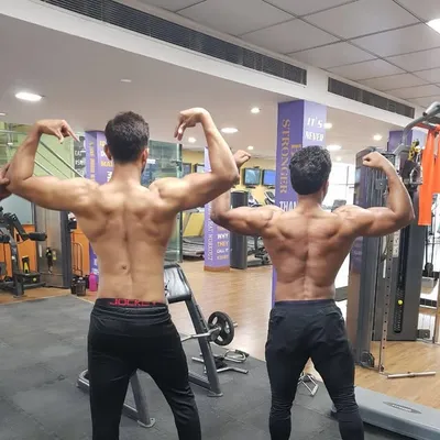 muscle shaping profile