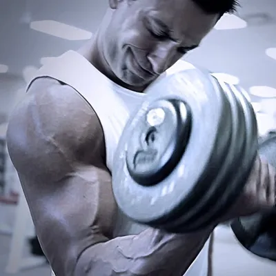 The Muscle Maximizer profile