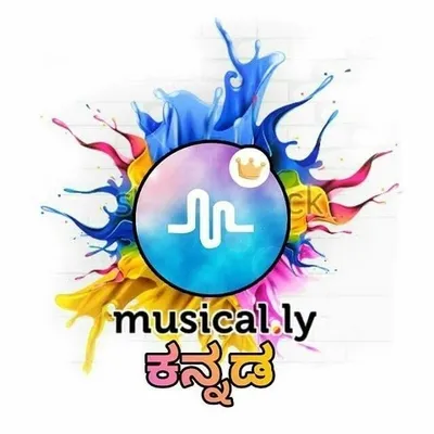 musical.ly kannada profile