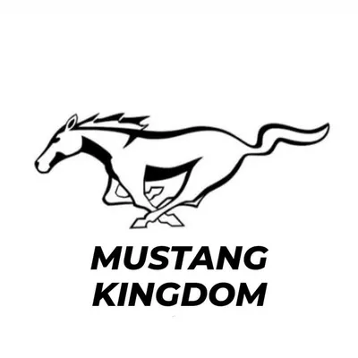 Mustang Kingdom profile