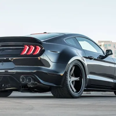 Mustangs Addiction profile