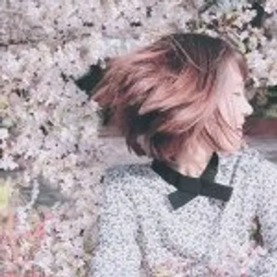 KJ, Korea profile