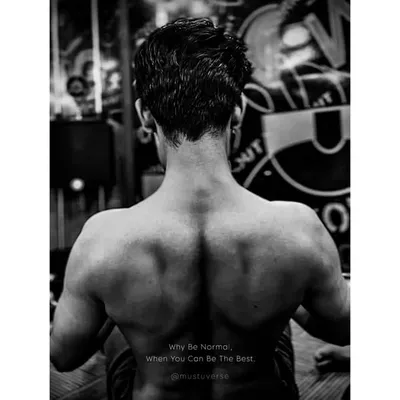 Mustufa Ansari profile