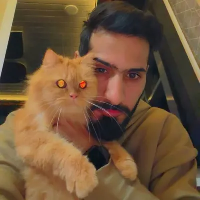Mutahir Showkat profile