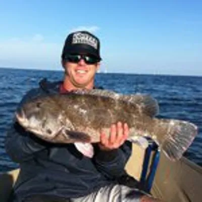Mike Gleason profile