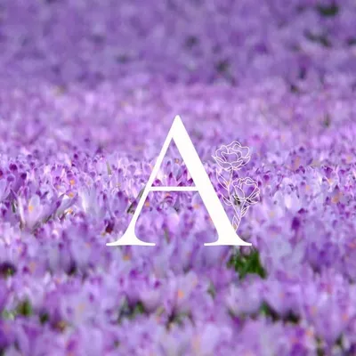 Aamira| Product Stylist profile