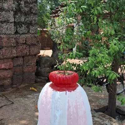 Swarnalata Mohanta profile