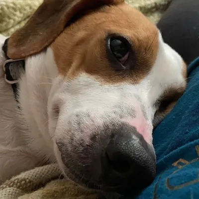 My Love ✻ Milo ✻ profile