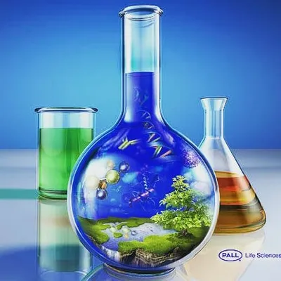 Analytical Development Leb profile