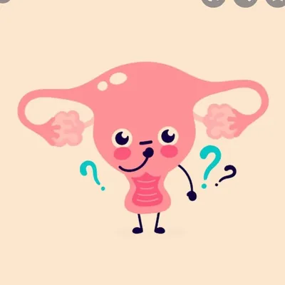 Dr. Uterus profile