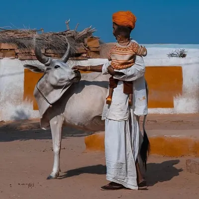 RAJASTHAN VILLAGE ๐ช๐ฎ๐ณ profile