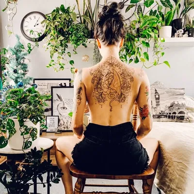 My Bedroom Jungle profile