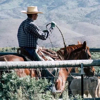 My Country Lifestyle profile