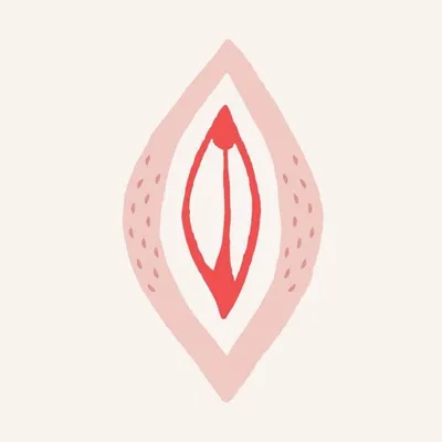 My Dear Vagina profile