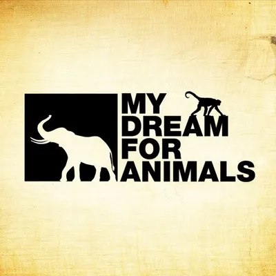 My Dream For Animals profile