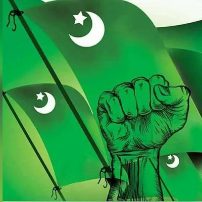 അരീക്കോട്ടെ സാഹിബ്മാർ💚 profile