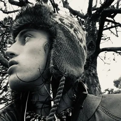 mylan profile