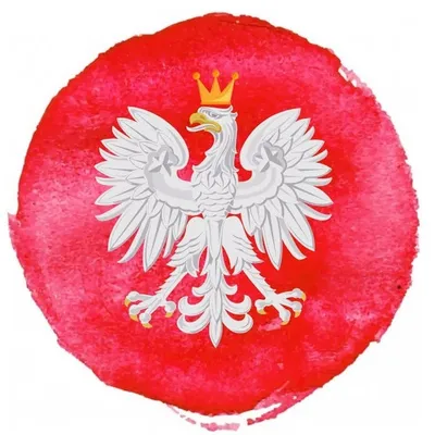 My Life Is Polish profile