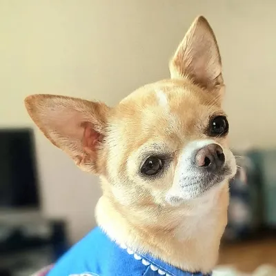 🥰 Mai 🥰 profile
