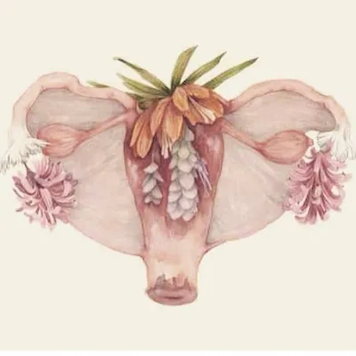 Me & My Menstruation profile