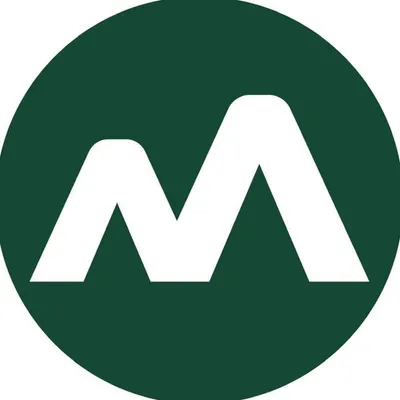 moneyview profile