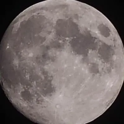 THE MOON COLLECTOR profile