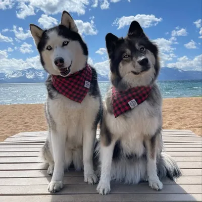 Kakoa & Sky profile